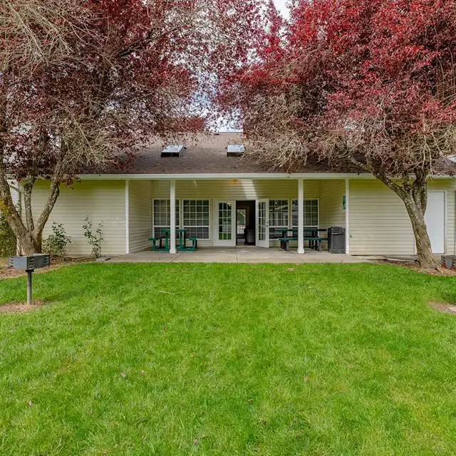 A backyard view featuring a patio with a fine green lawn, surrounded by two red leaf trees and a building in the background.