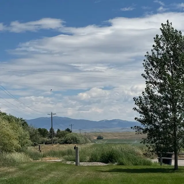 A serene landscape featuring tall grass, a single green tree, and distant mountains under a partly cloudy sky.