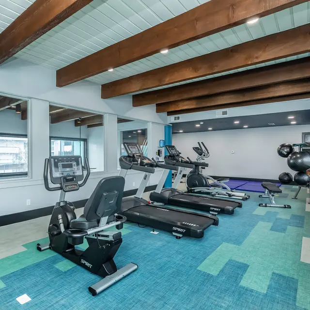 A modern home gym featuring cardio equipment, weights, and large windows with natural light.
