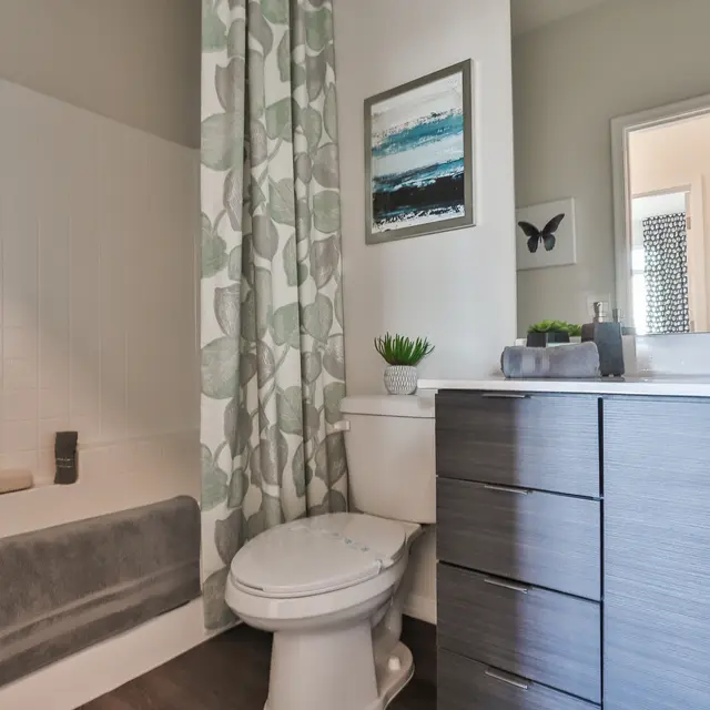 A modern bathroom featuring a bathtub with a shower curtain, a toilet, and a sink with storage. Decor includes a plant on the counter and wall art above the sink.