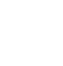 Silhouette of three pine trees in white