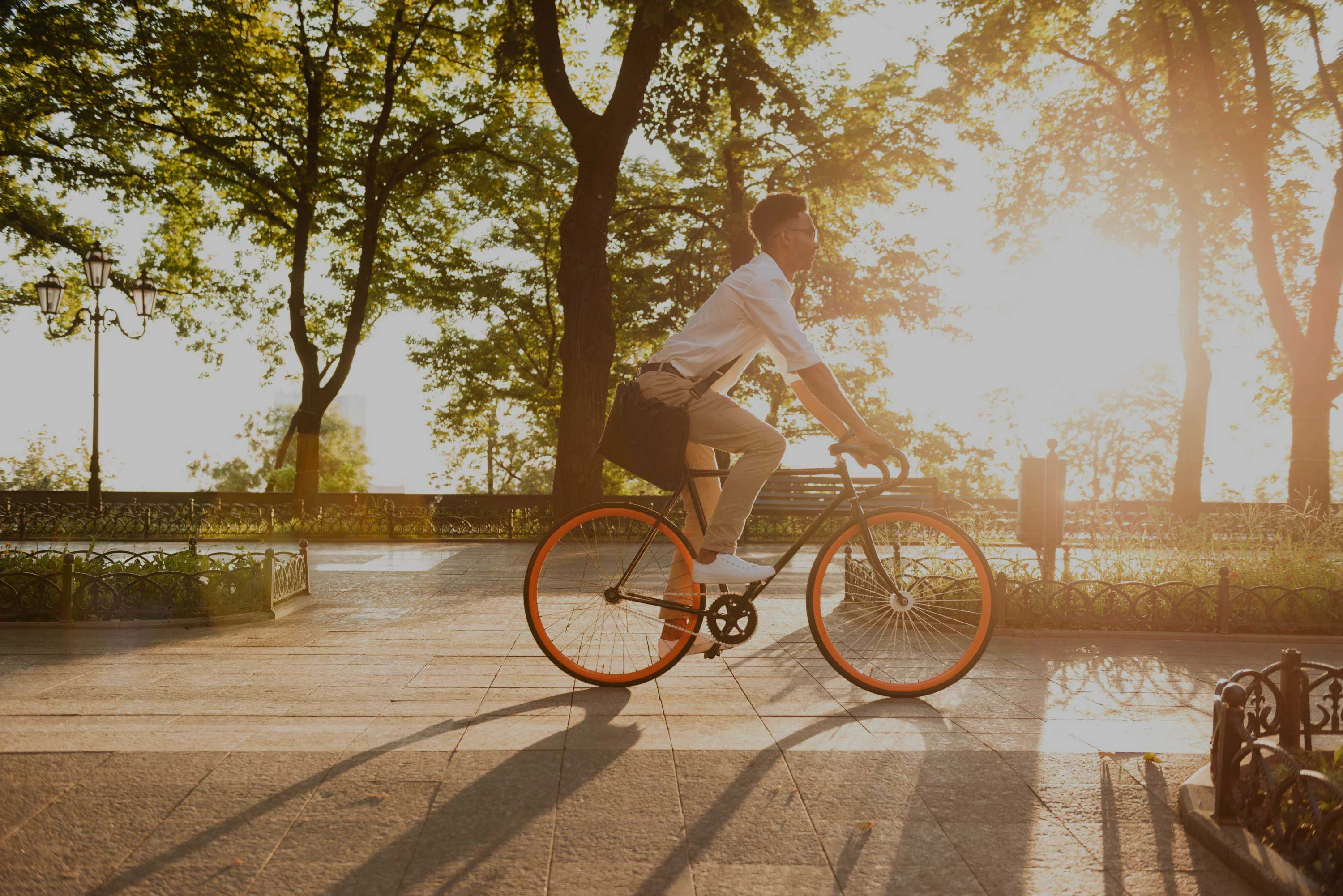 A person riding a bicycle in a park during sunset with golden sunlight filtering through trees.