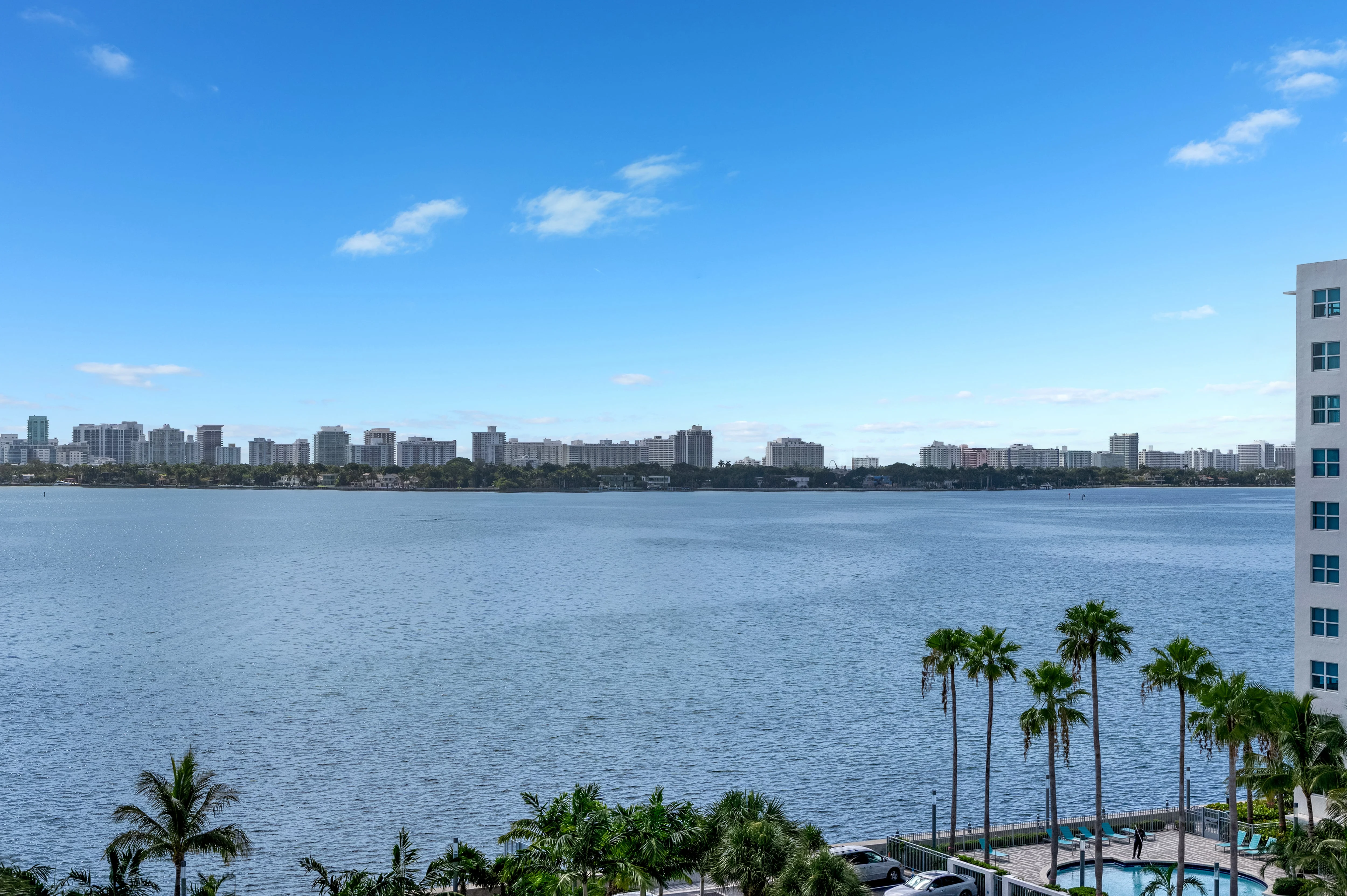 Scenic Waterfront View A scenic waterfront view featuring a calm blue water body with palm trees in the foreground and a city skyline in the background under a clear sky.