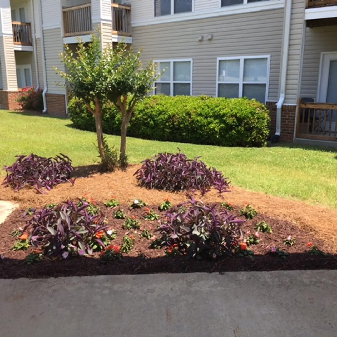 Cedar Trace Landing - Backyard, Nature, Outdoors