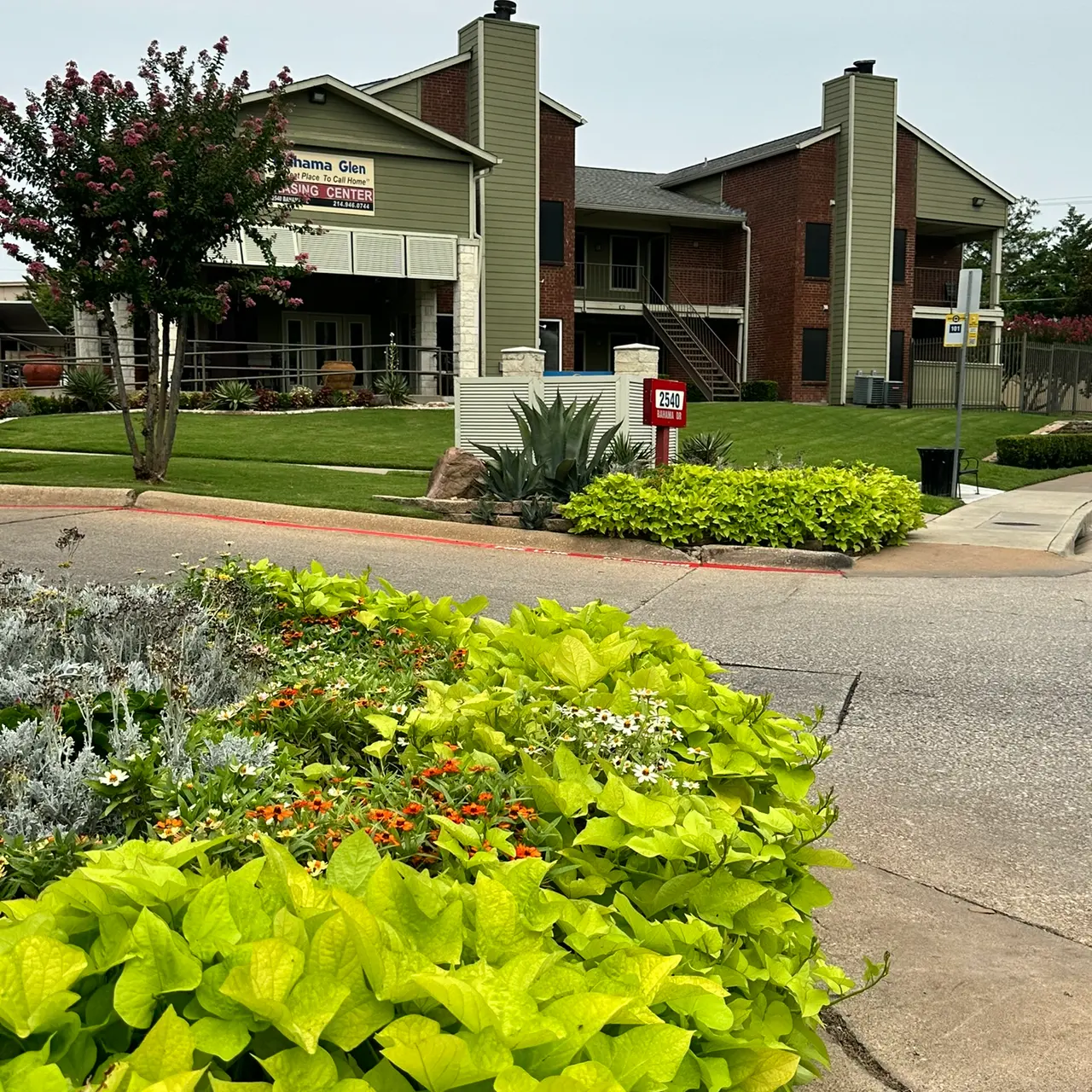 Bahama Glen Apartments - Neighborhood, Shelter, Potted Plant