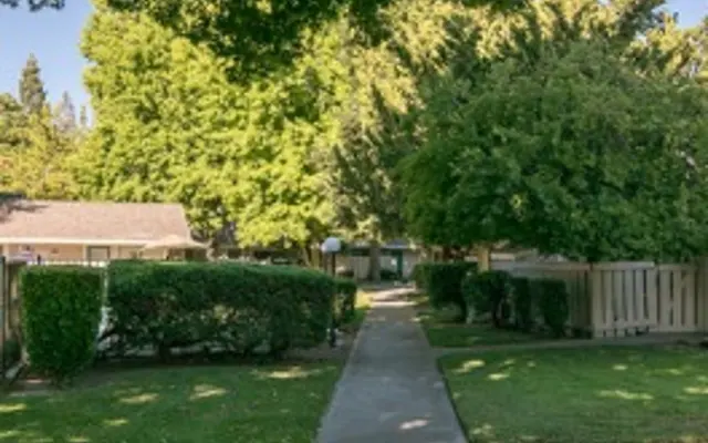 Riverbelle Park - Path, Tree