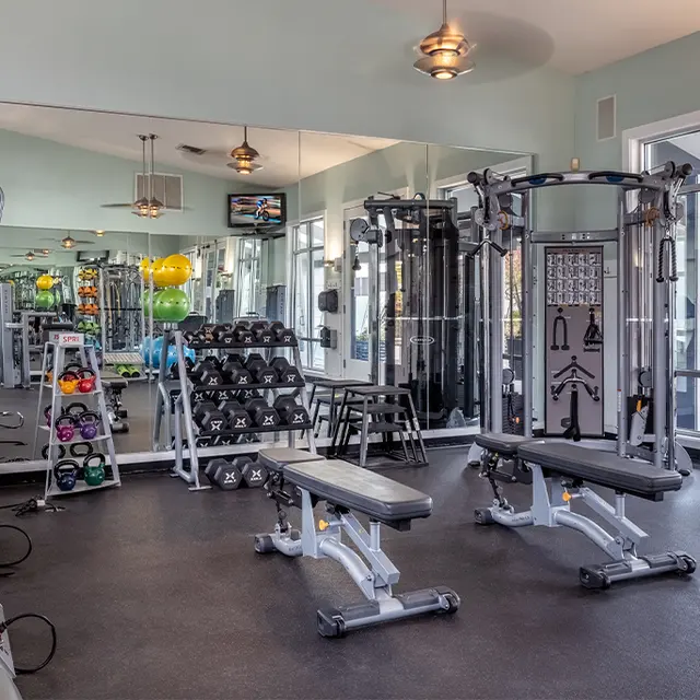 Palladia - Gym, Sport