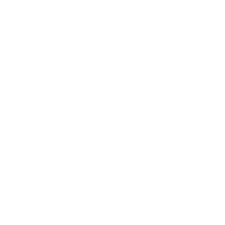 Bearing Point Properties Bearing Point Properties