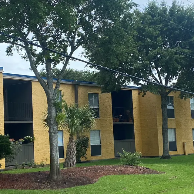 The Cambria Apartments - Grass, Plant, Tree