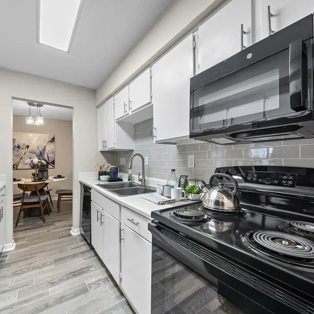 Ellis Model Kitchen A3 737 sq ft_1BD_1BA.jpg