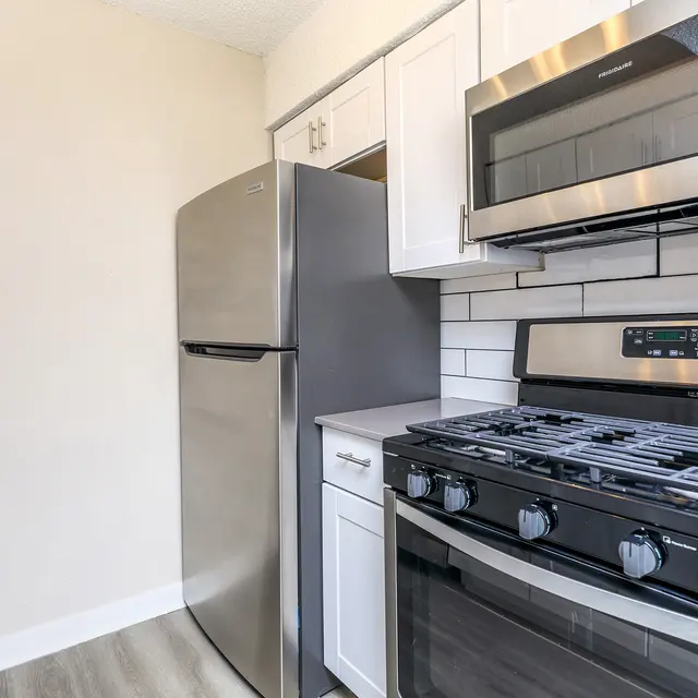 Aviva at North Plaza - Kitchen