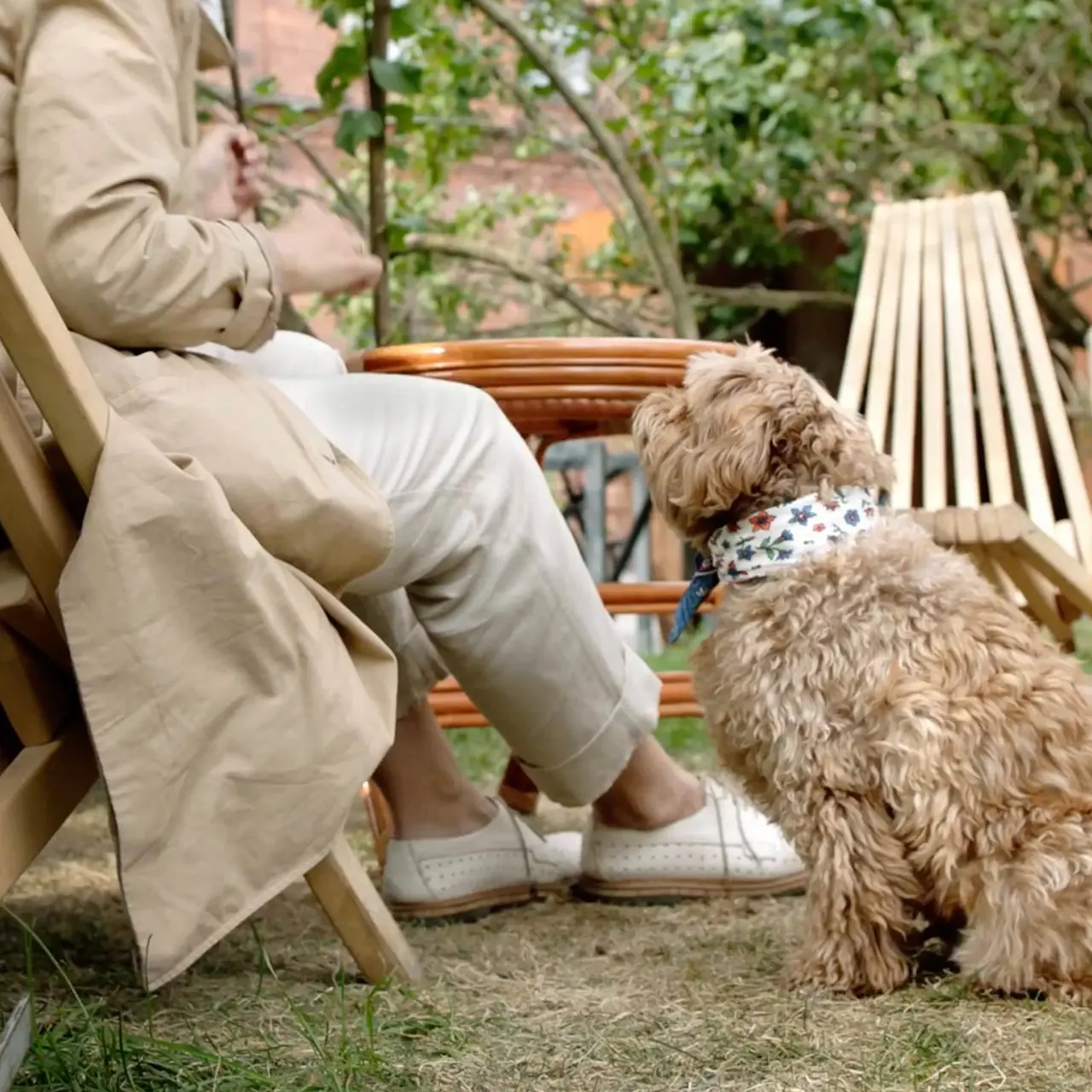 Big Trout Lodge Big Trout Lodge - Pet