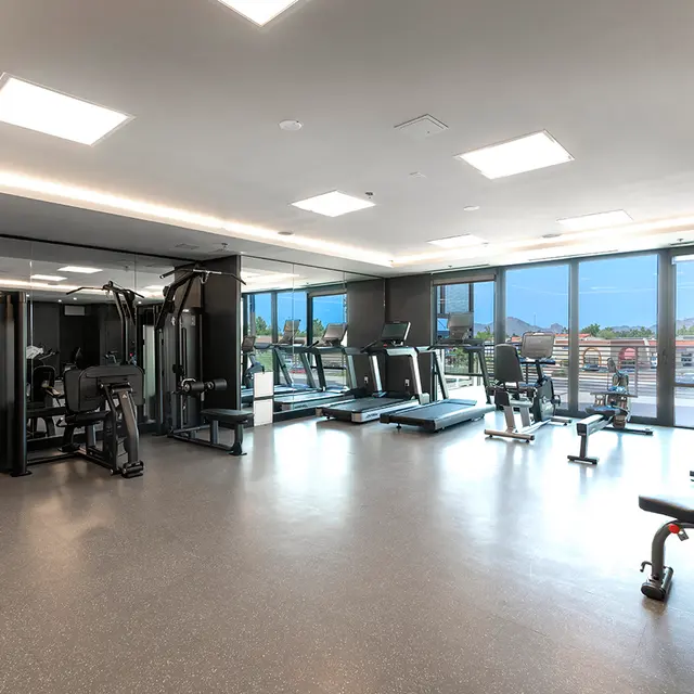 Modern Gym Interior Interior view of a modern gym featuring various exercise equipment and large windows allowing natural light.