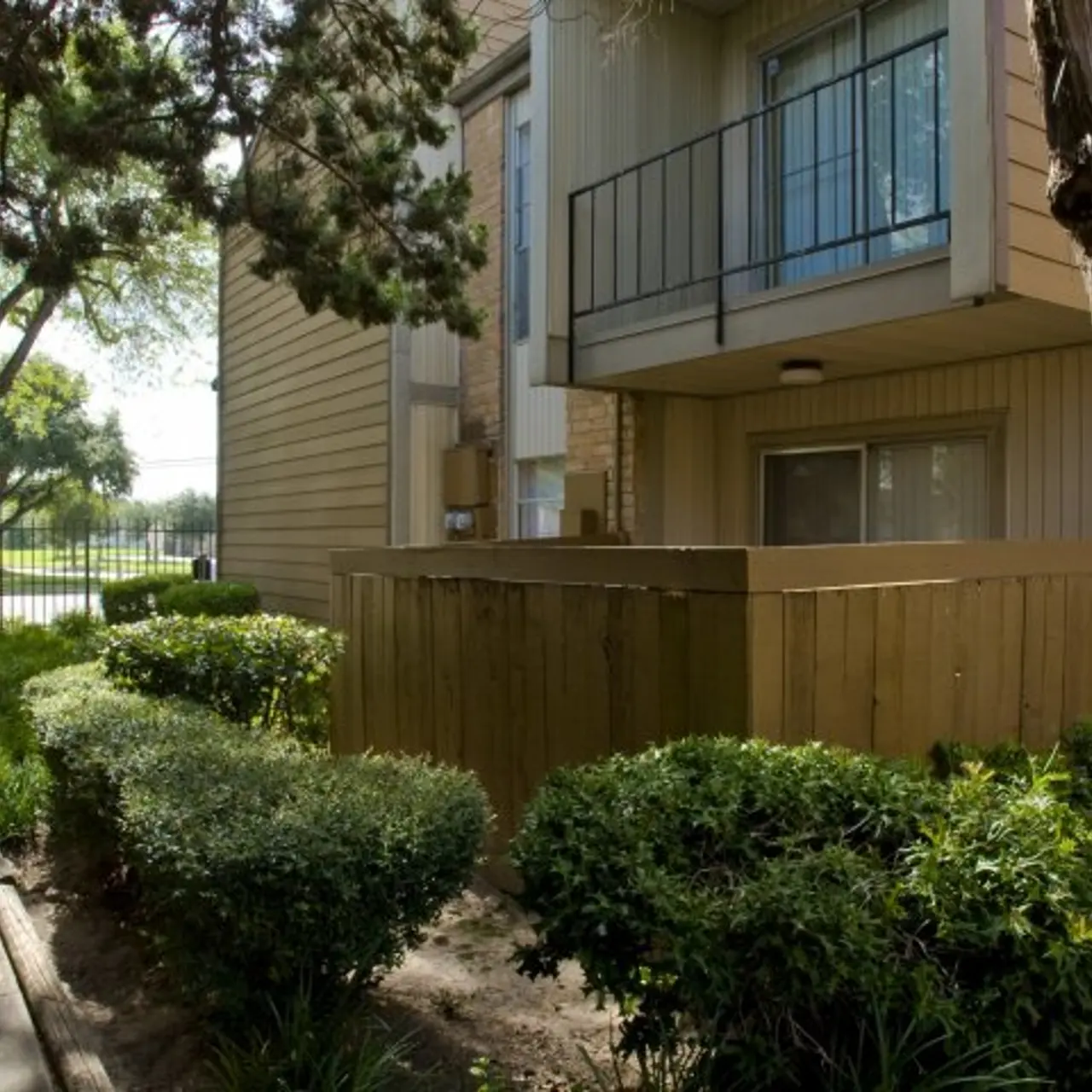 Pine Forest Place & Park - Tree, Yard