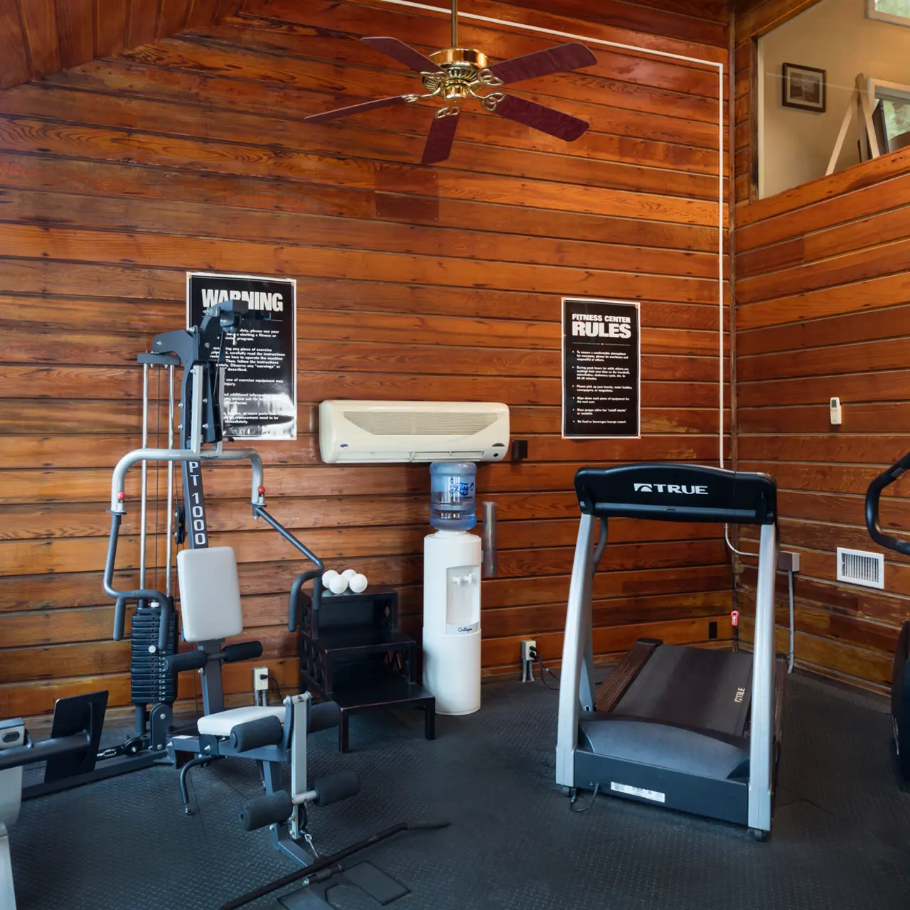 Pepper Tree - Gym Pepper Tree - Chair, Ceiling Fan, Appliance