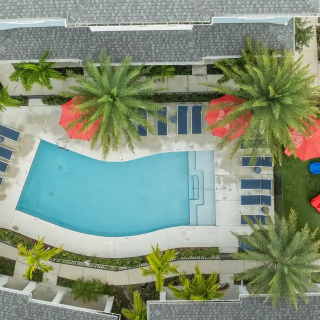 Aerial view of a swimming pool surrounded by palm trees and lounge chairs, with red umbrellas and a playground area nearby.