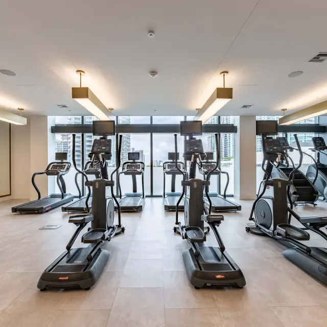 Interior of a modern gym with elliptical machines and large windows allowing natural light.