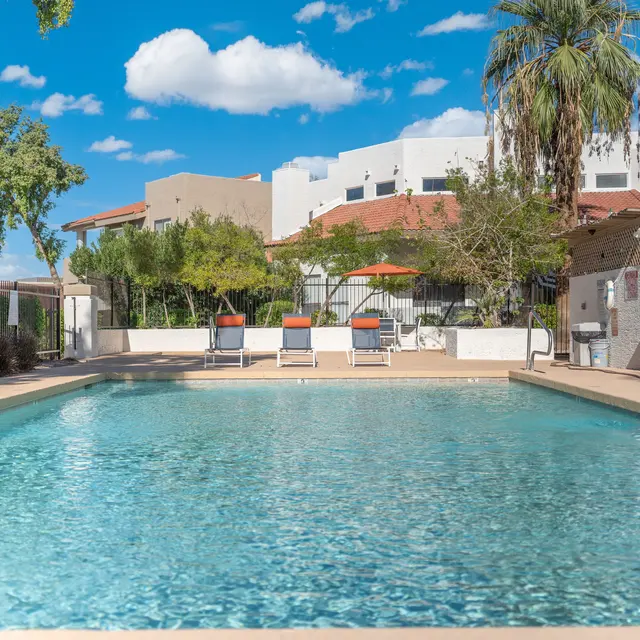Bright outdoor swimming pool with lounge chairs and palm trees under a blue sky with clouds.