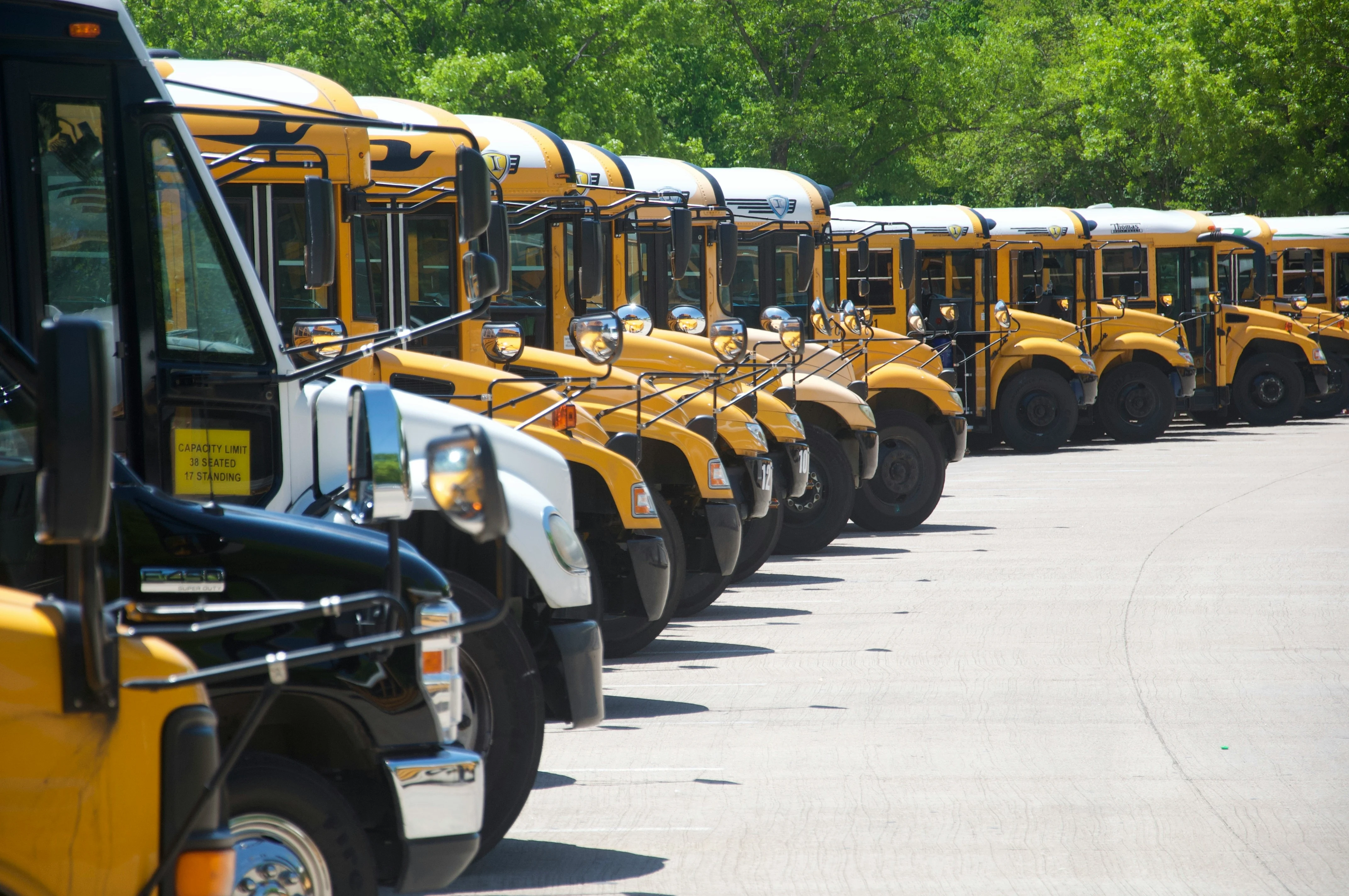 A lineup of yellow school buses parked in a row with greenery in the background.