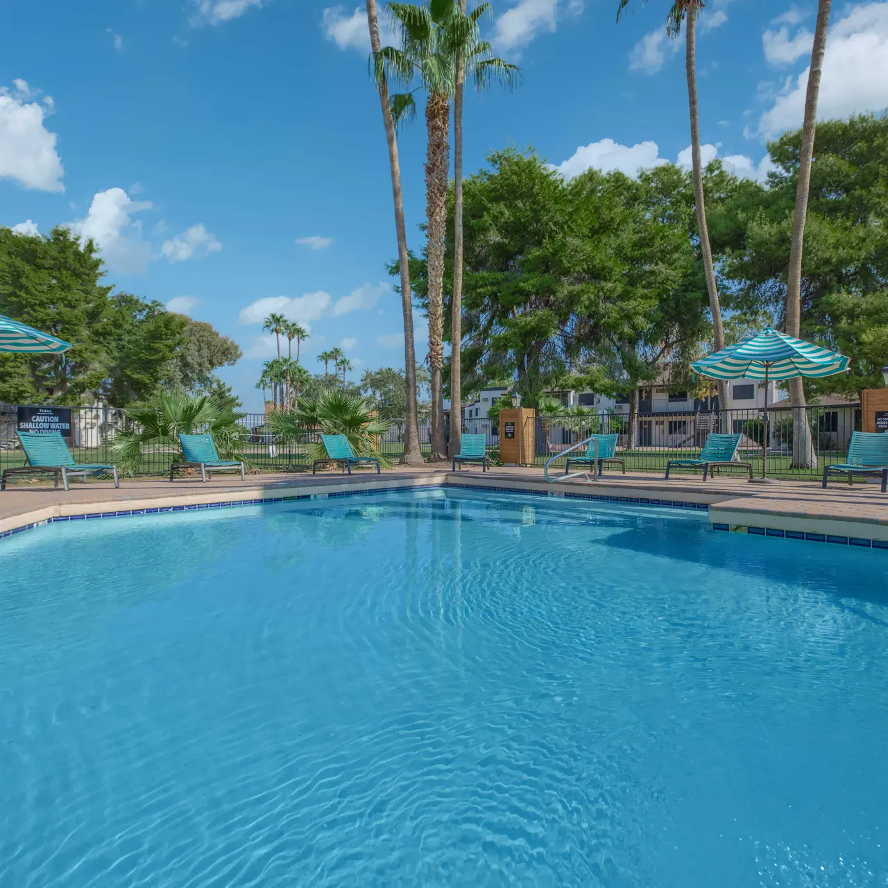 A clear blue swimming pool surrounded by palm trees and lounge chairs, under a bright blue sky with fluffy clouds.