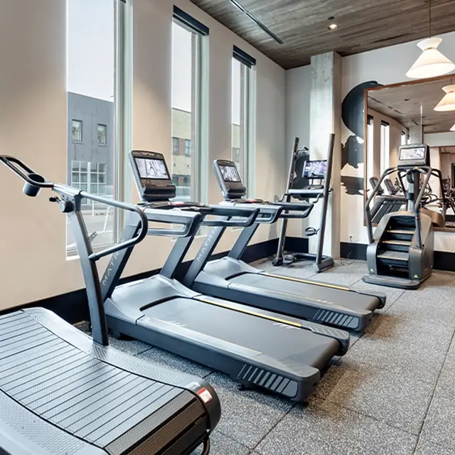 A modern gym interior featuring several treadmills, an elliptical machine, and free weights, with large windows allowing natural light.