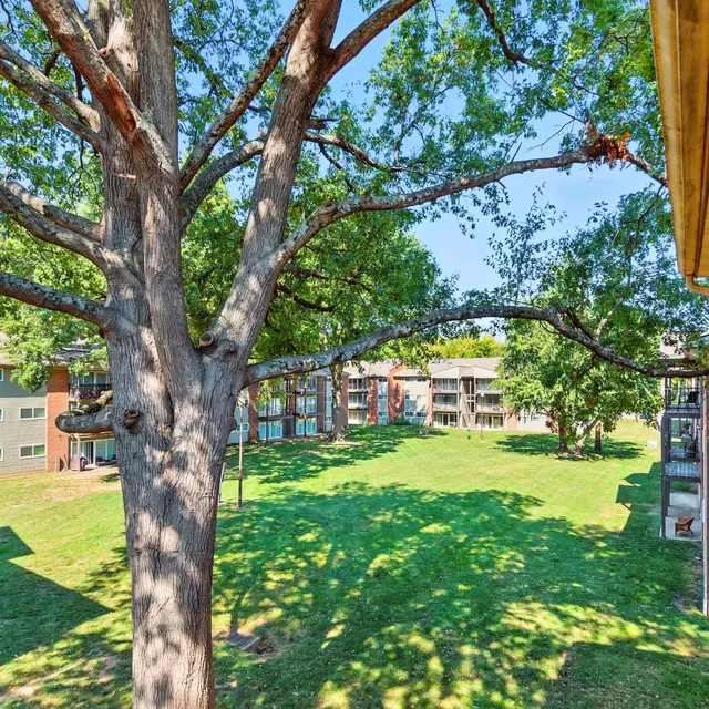 View of a grassy area surrounded by several apartment buildings and a large tree