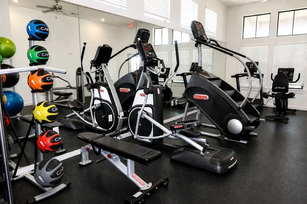 A well-equipped gym featuring cardio and strength training machines.