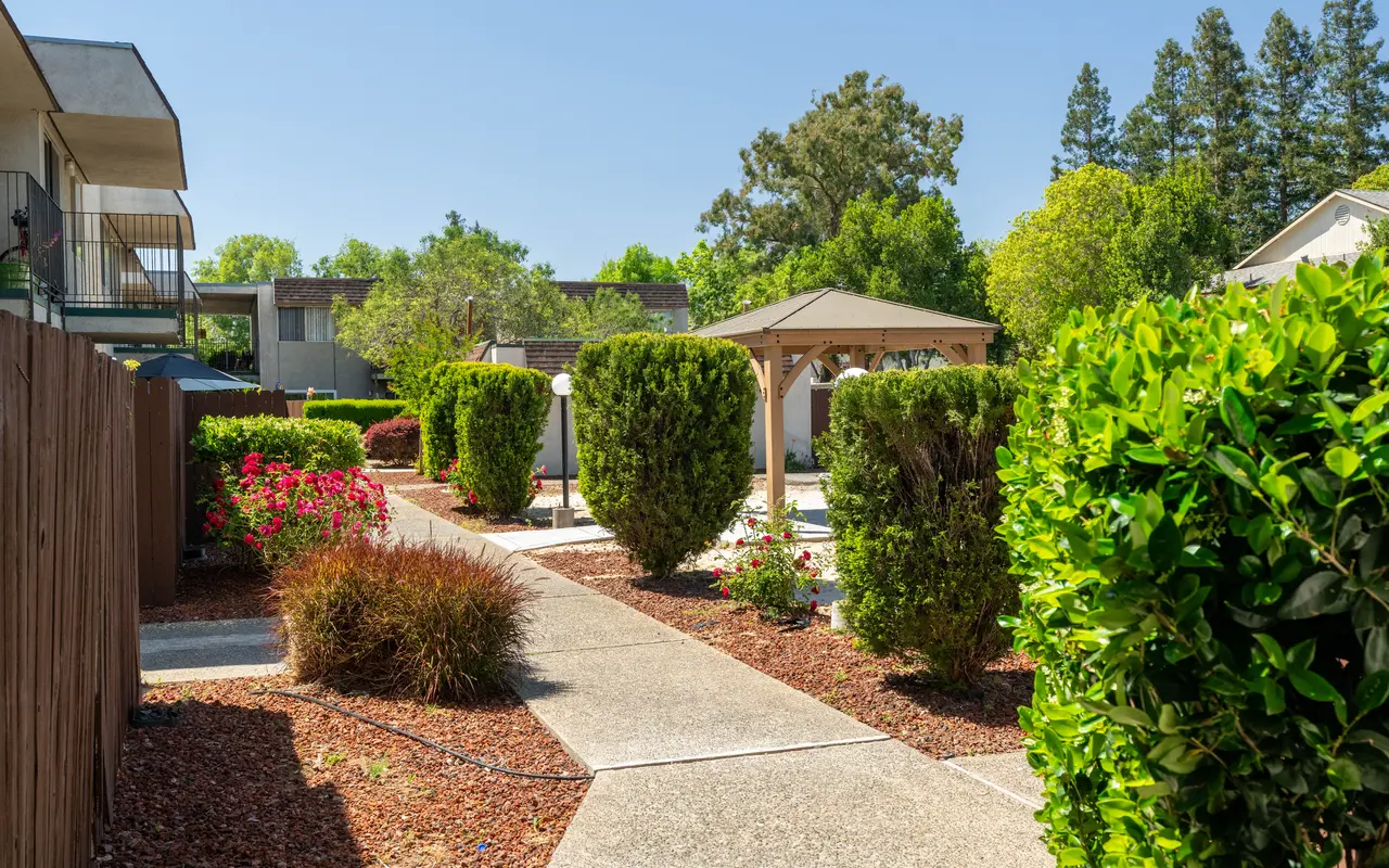 Cottage Square - Backyard, Nature, Outdoors
