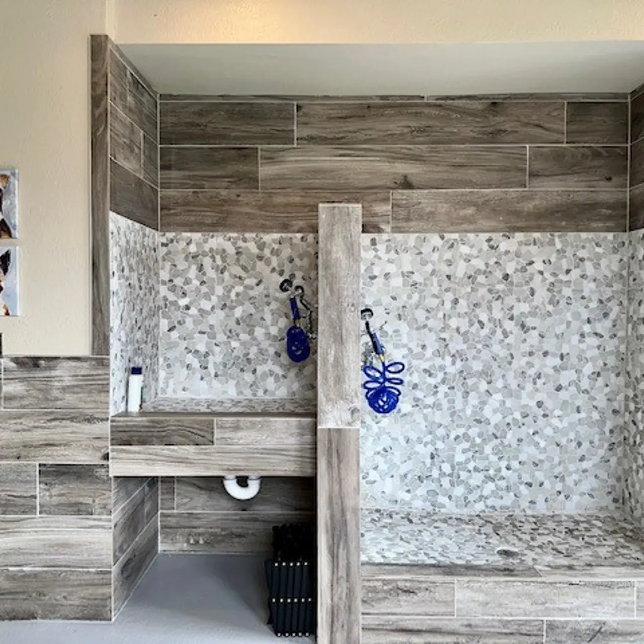 Coventry at Cityview Apartments - Indoors, Interior Design, Wood Panels