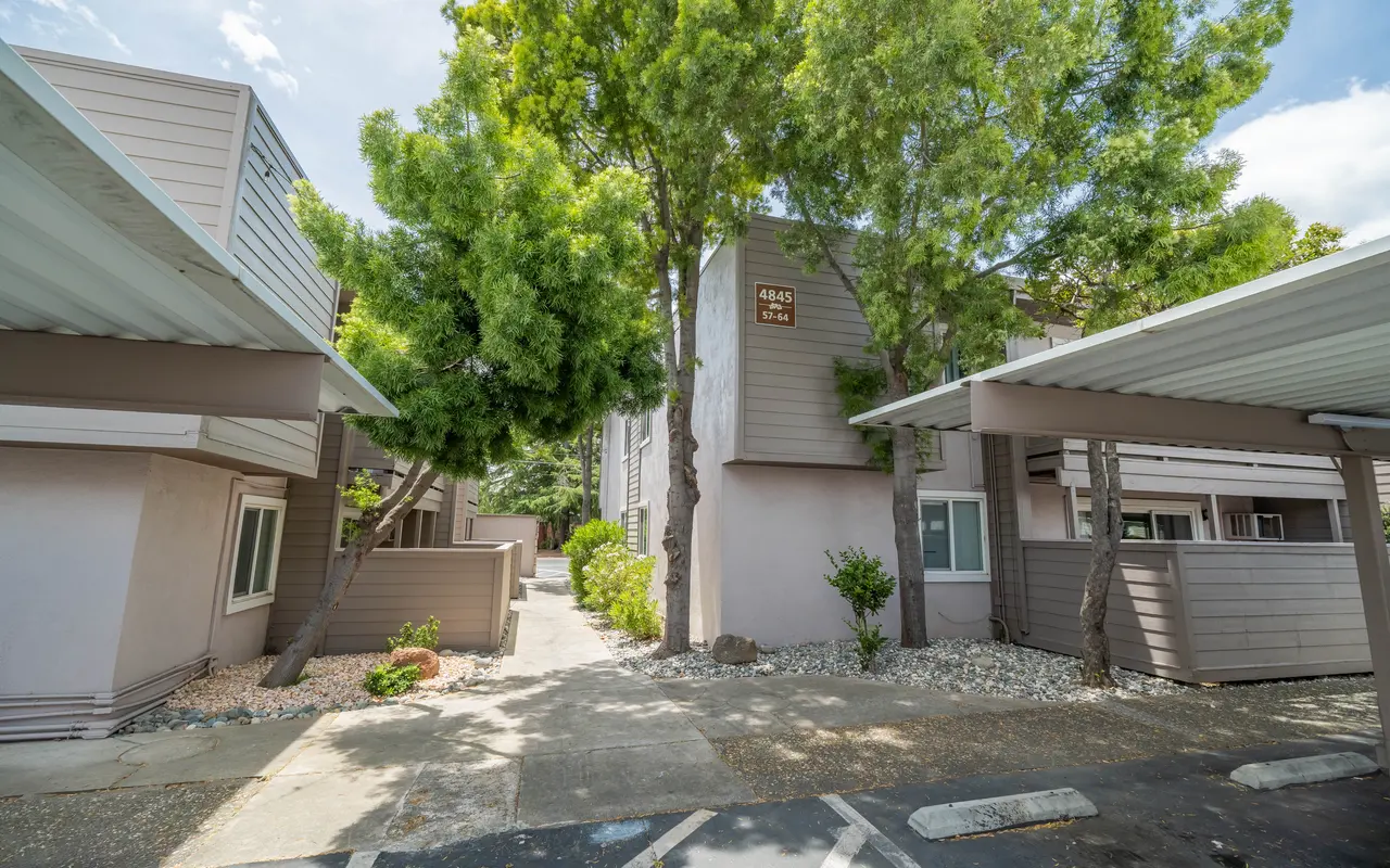 Magnolia Court Apartments - Neighborhood, City, Street