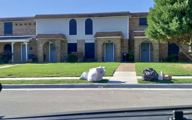 El Paso on the Park - Tree, Plant