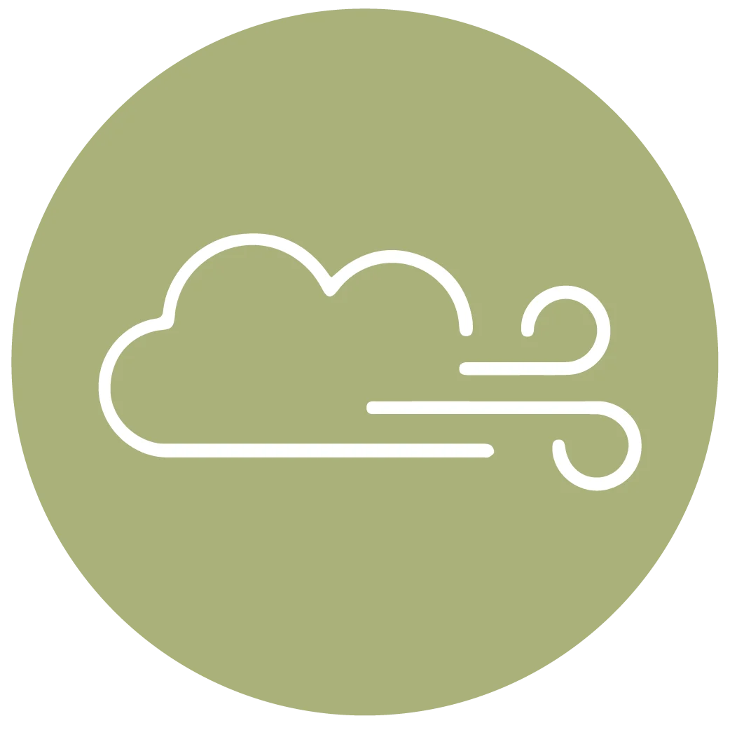 The Ivey on Boren - Text