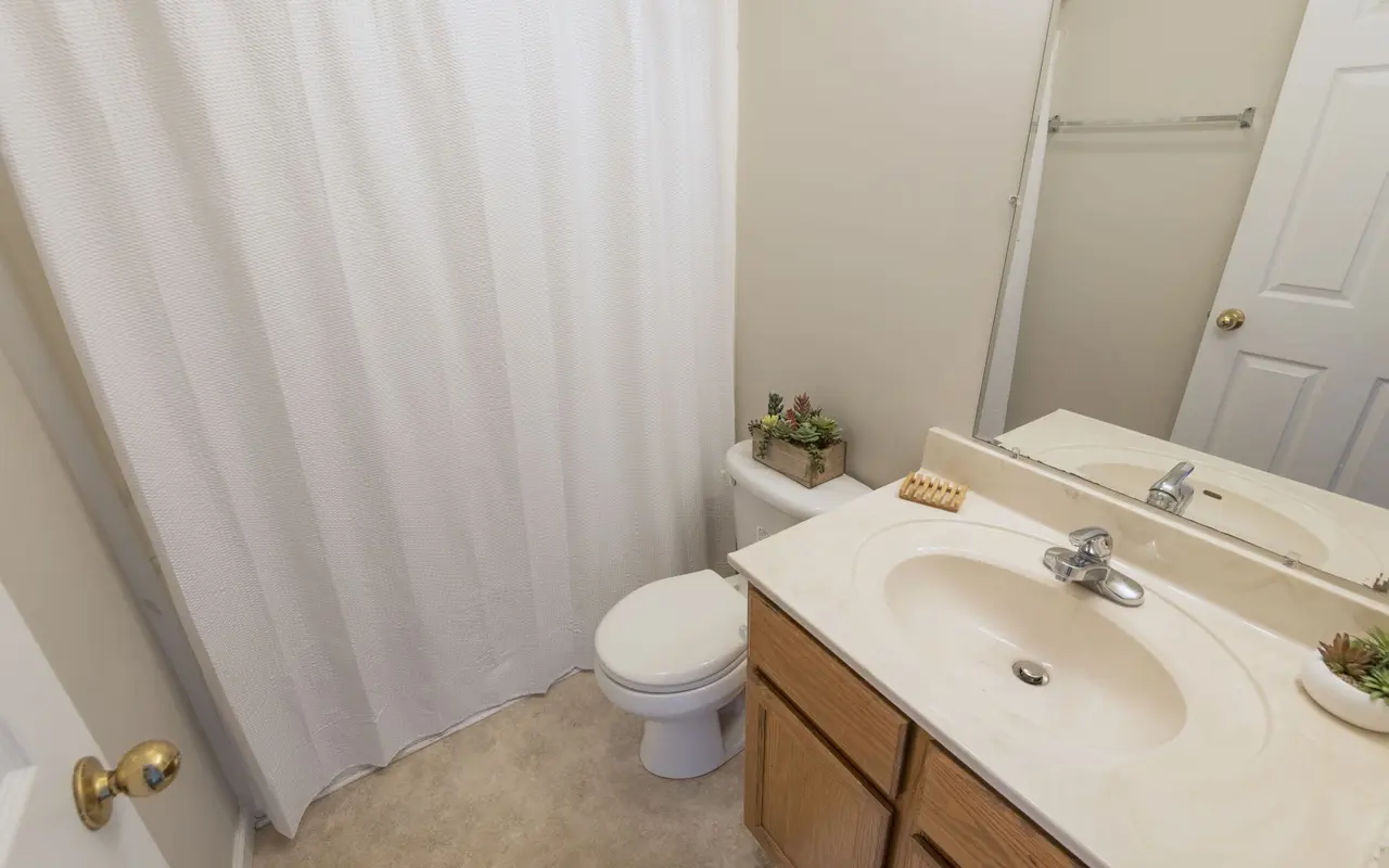 Willow Run Apartments - Sink, Sink Faucet, Bathroom