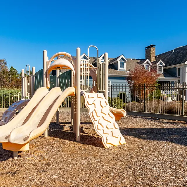 Summer Lake Summer Lake