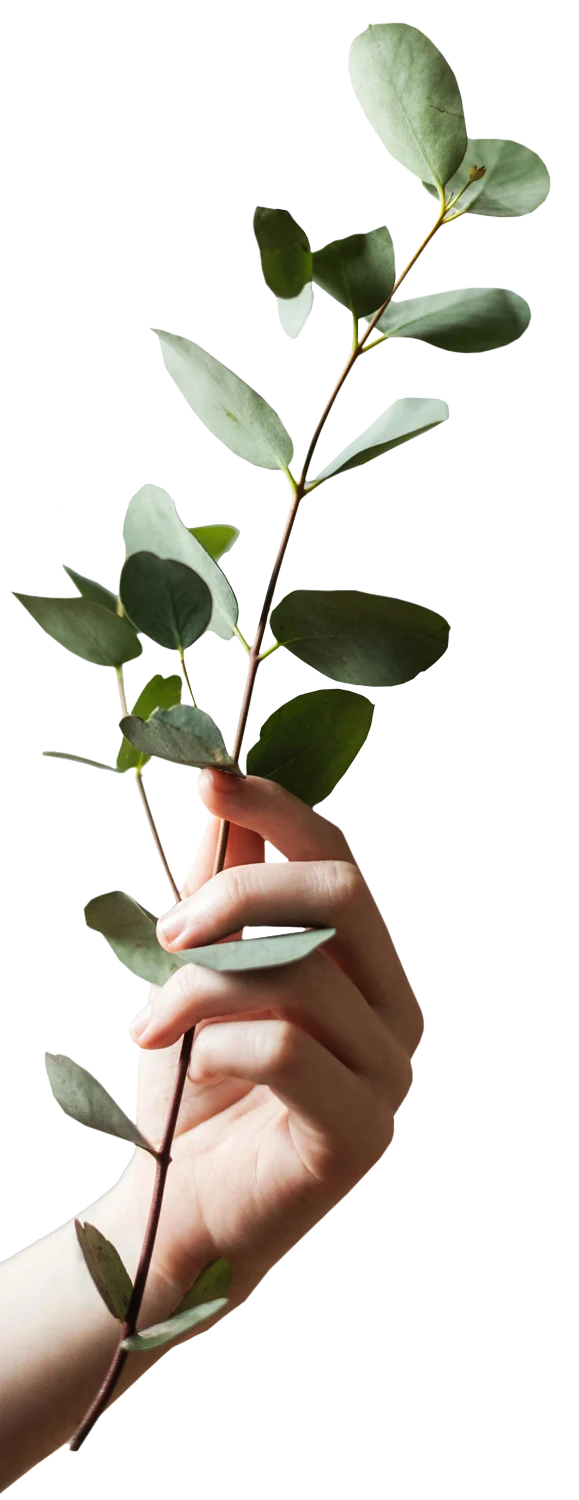 Ranch Ranch - Plant, Leaf