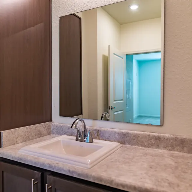 Rochester Park - Sink, Sink Faucet