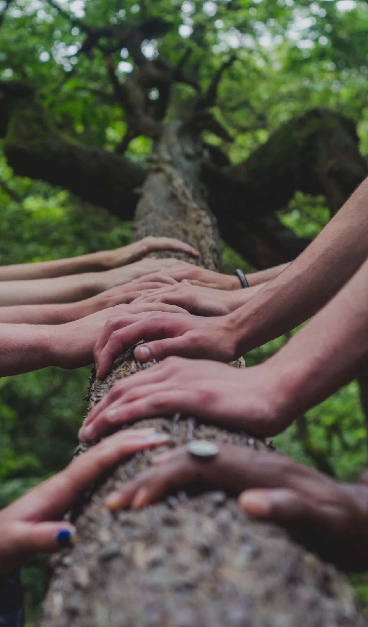 Rose Valley Management Corp - Human