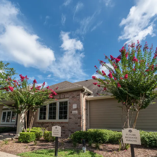 Collingham Park - Neighborhood, Summer, Outdoors