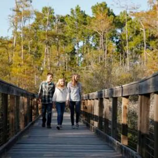Sea Sound - Building, Bridge