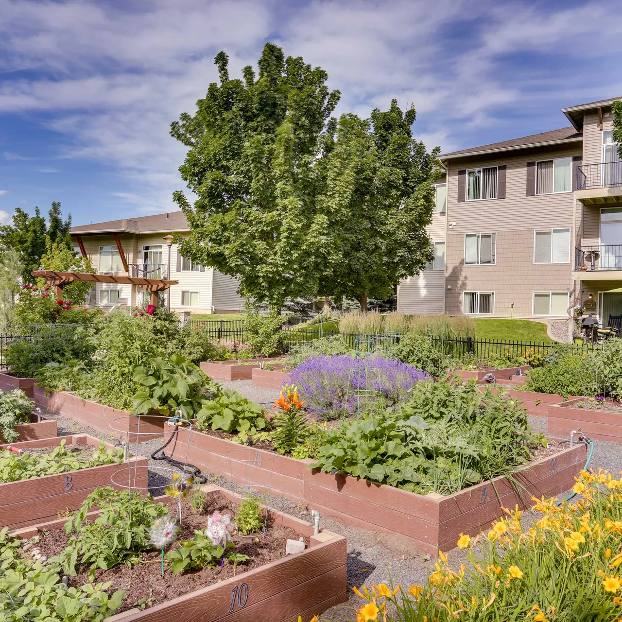 Big Trout Lodge Big Trout Lodge - Plant, Yard, Garden