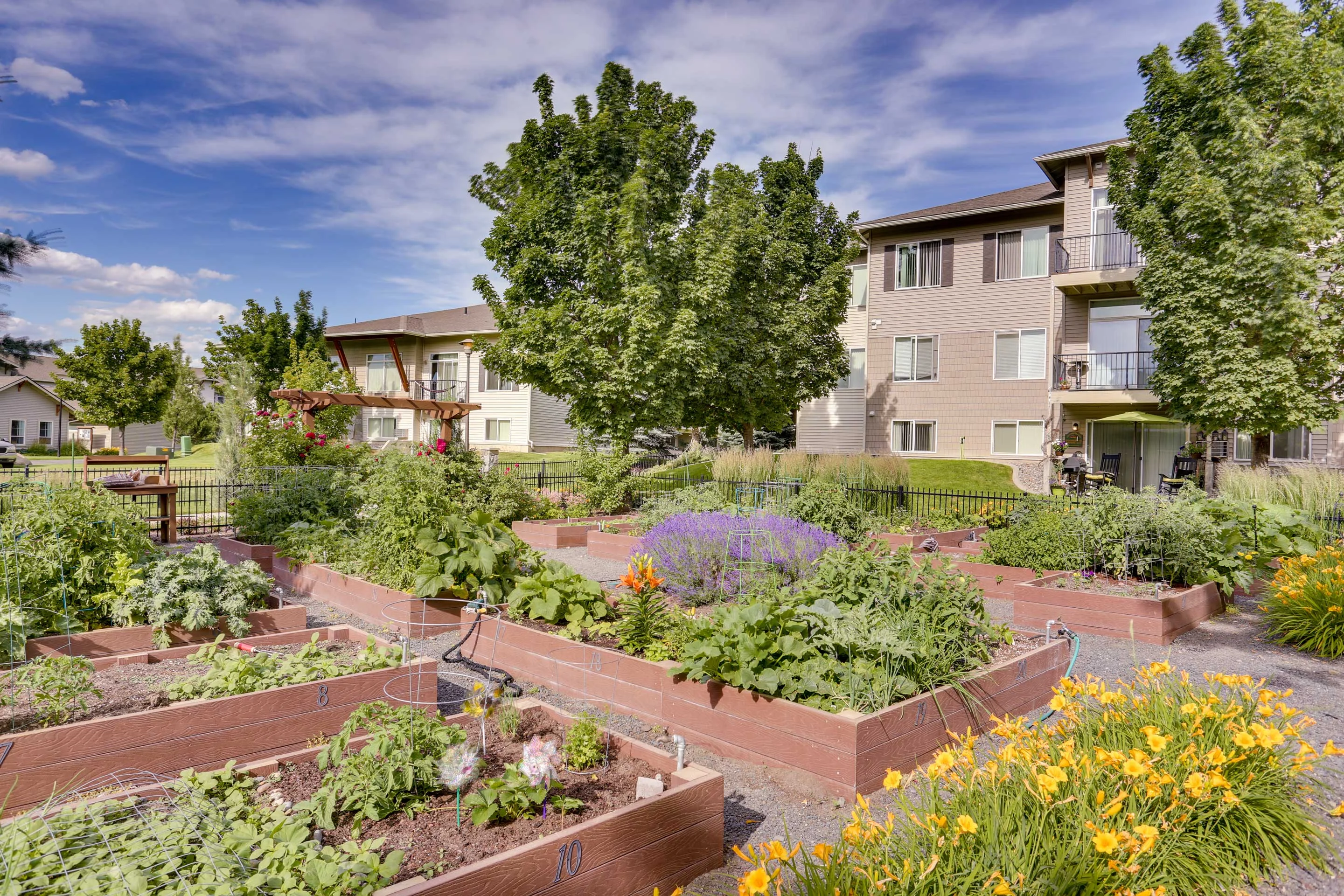 Big Trout Lodge Big Trout Lodge - Plant, Yard, Garden