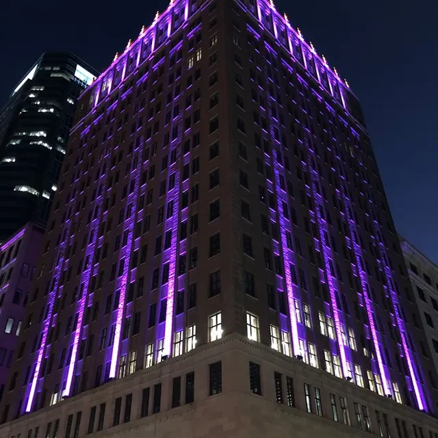 Purple Illuminated Building at Night A historic building illuminated with purple lights at night, showcasing its architectural details. Nearby urban skyline in the background.