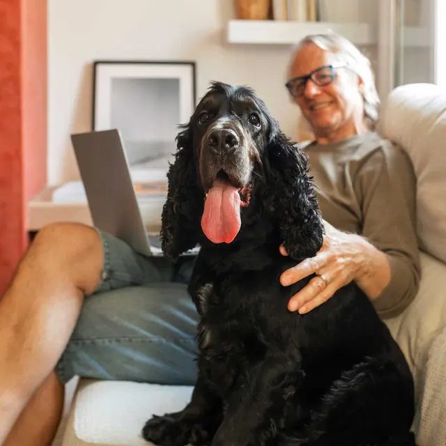 A man with gray hair and glasses smiles while sitting on a sofa with a black dog beside him. The man is wearing a gray long-sleeve shirt and denim shorts, and he has a laptop in his lap. The dog has its tongue out and appears relaxed and content. In the background, there are small plants and books on a shelf.