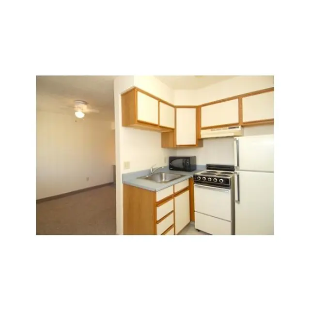 Small Apartment Kitchen A small kitchen area in an apartment featuring wooden cabinetry, a sink, a stove, a refrigerator, and a microwave. The adjacent room is partially visible with a ceiling fan and carpeted flooring.