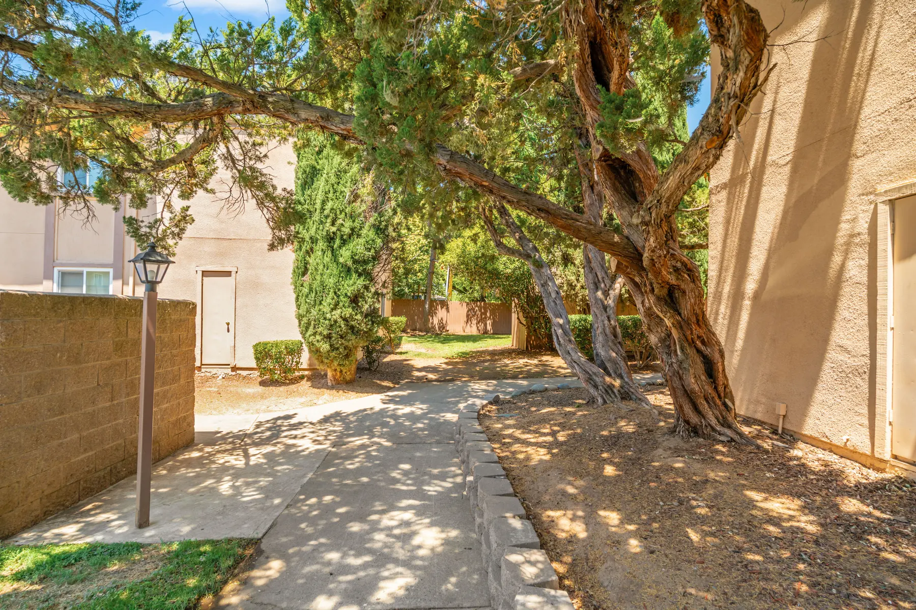 A pathway lined with trees and shrubs, leading to adjacent buildings on a sunny day.