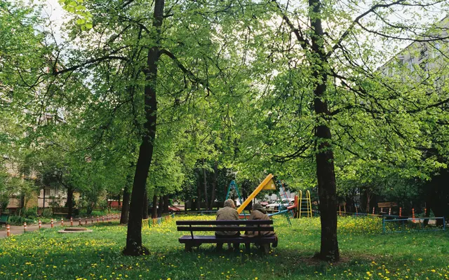 Woodlawn Apartments - Park, Tree, Bench