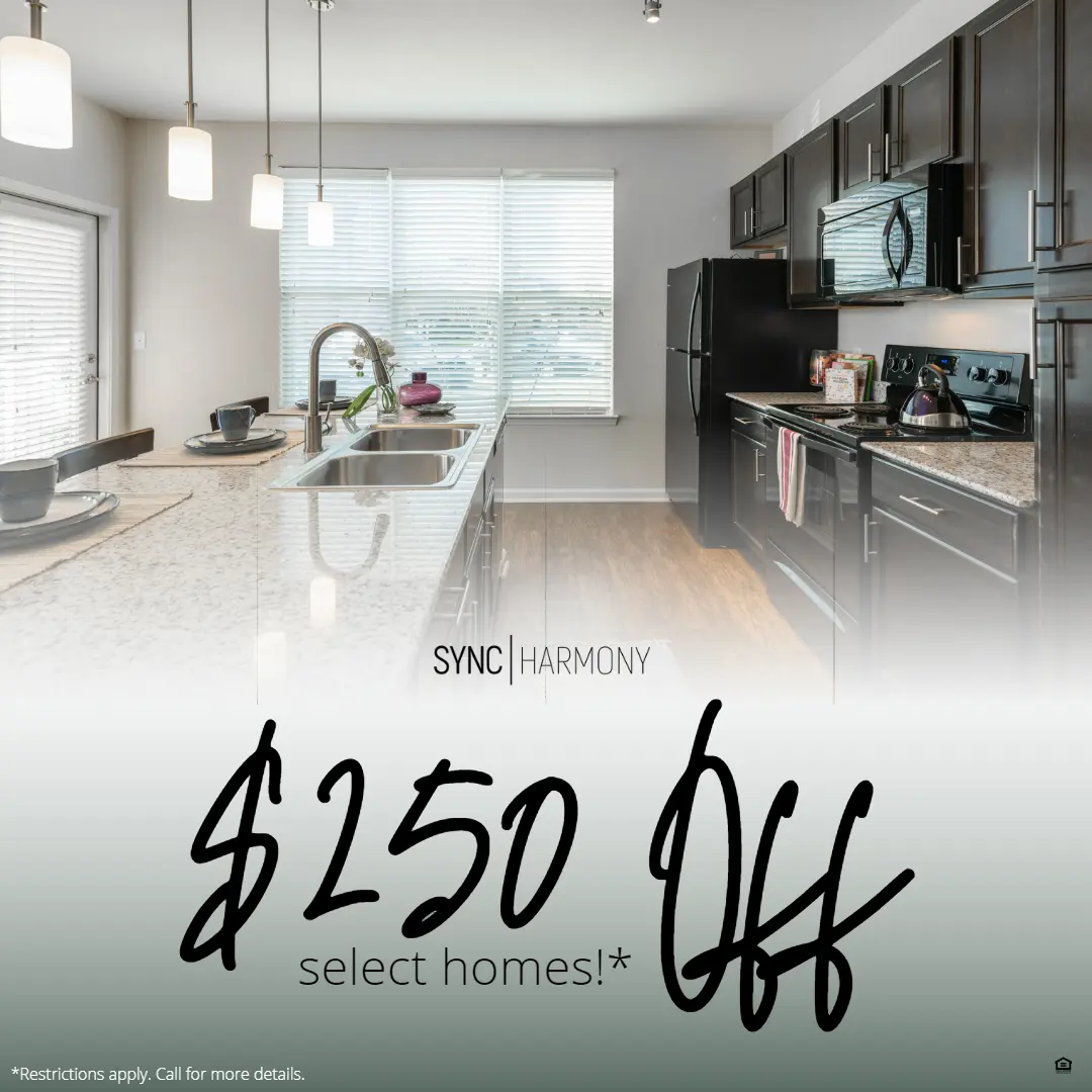 SYNC at Harmony - Indoors, Kitchen, Interior Design