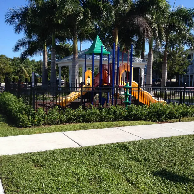 Banyan Grove - Grass, Nature, Outdoors