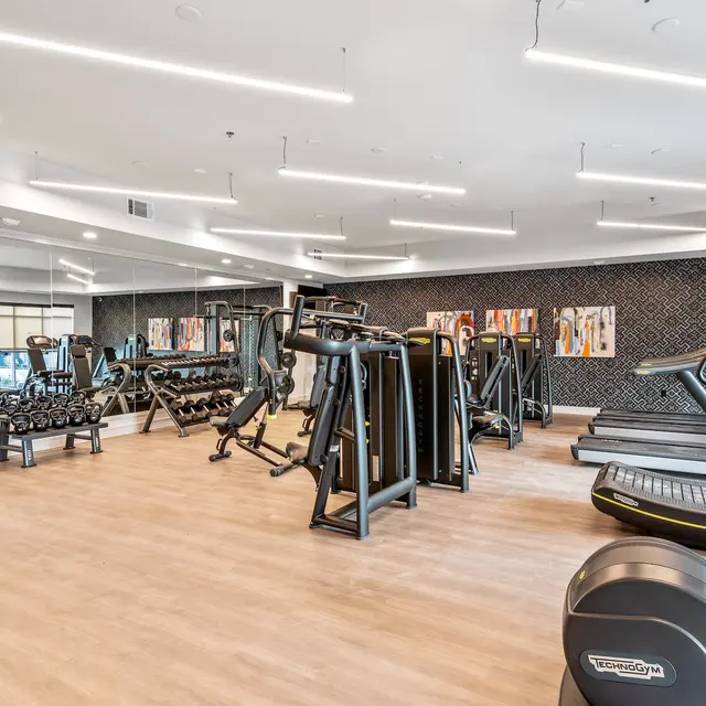 Standard at River District - Fitness, Working Out, Sport