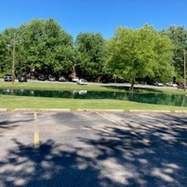 Lakewood Park - Grass, Nature, Outdoors